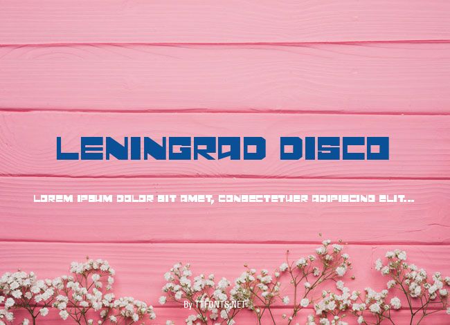 Leningrad Disco example